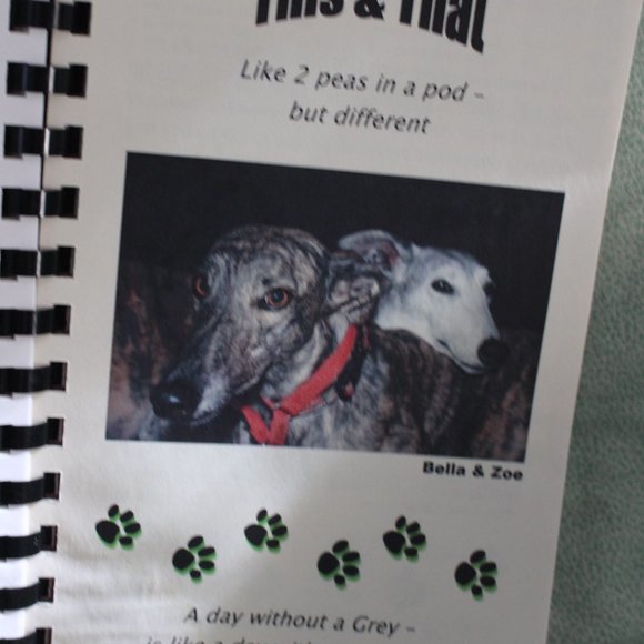 Greyt Bites Greyhound Pets of America Greater Orlando Spiral Bound Cookbook 2008 - Picture 7 of 7